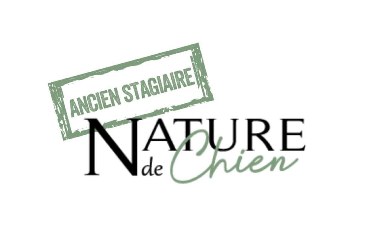 Ancien Stagiaire Nature de Chien